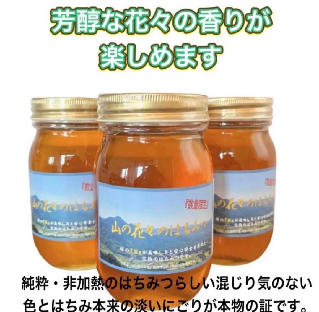 厳選　純粋生はちみつ　国産非加熱　600g ×3個　即購入OK