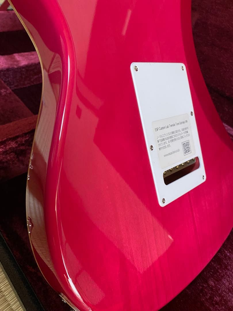 ギター ESP SNAPPER