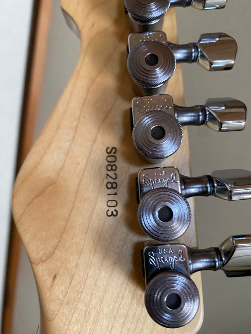 ギター ESP SNAPPER