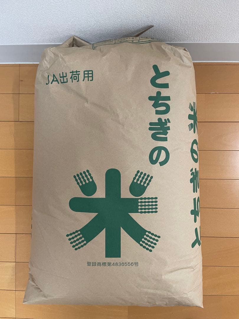 令和7年　栃木県鹿沼市産コシヒカリ　25キロ　玄米
