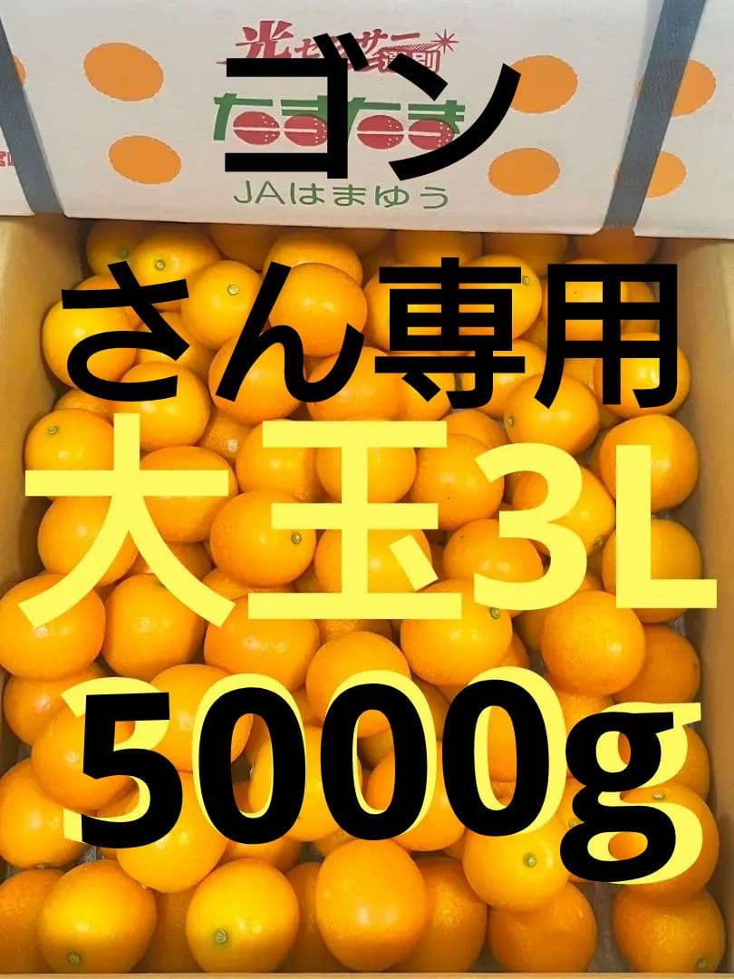 ゴンさん専用