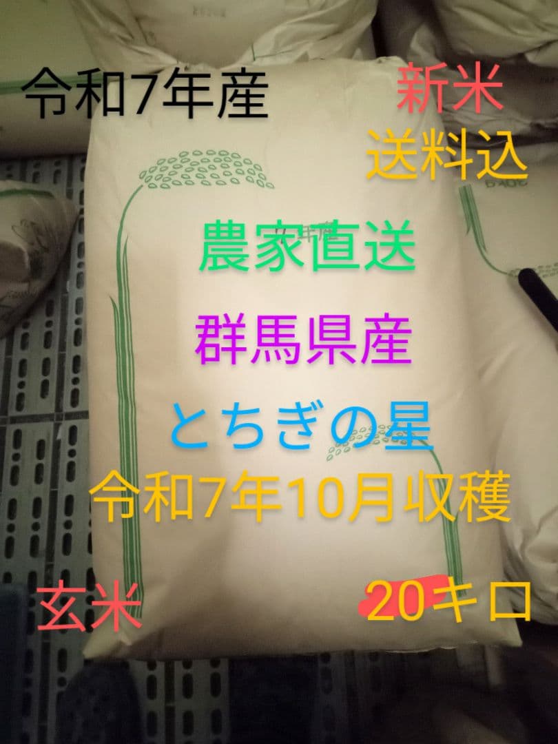 R7年産 新米 群馬県産 とちぎの星 20キロ 玄米 送料込 20kg ②