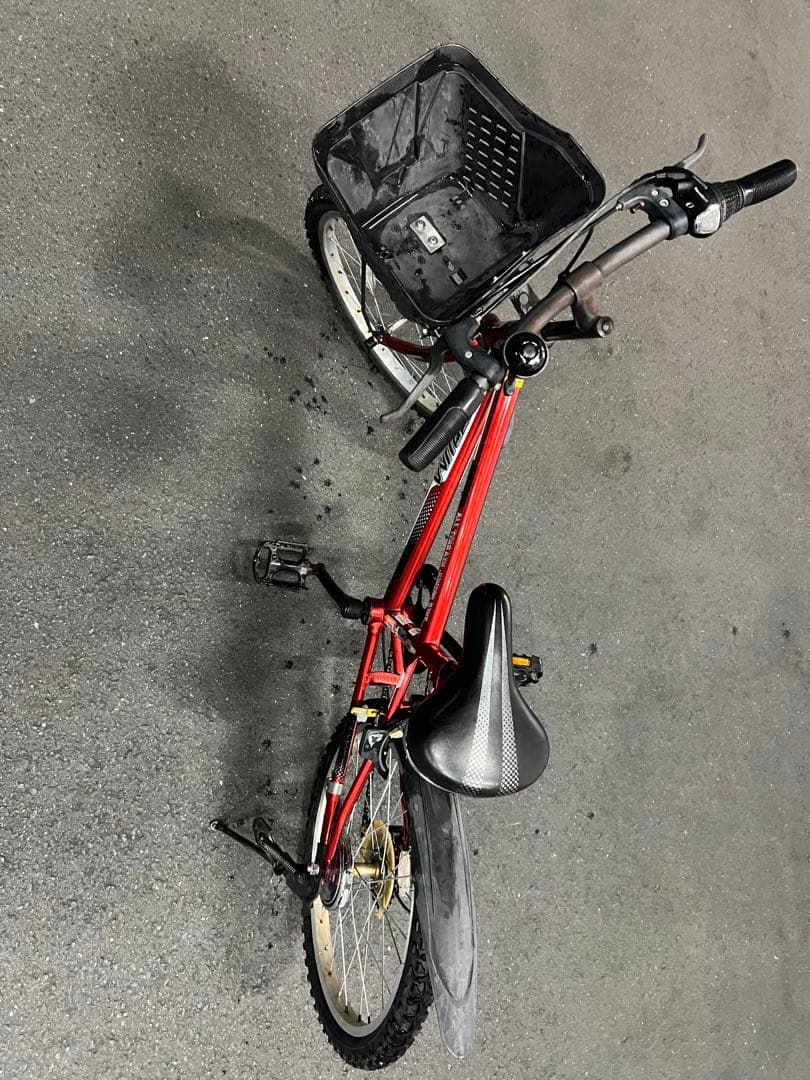 ダイワサイクル　DAIWACYCLE　　子ども用自転車 20型