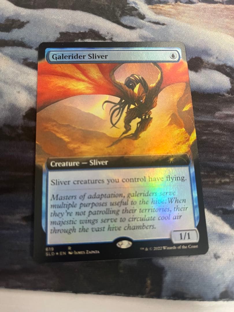 風乗りスリヴァー　foil