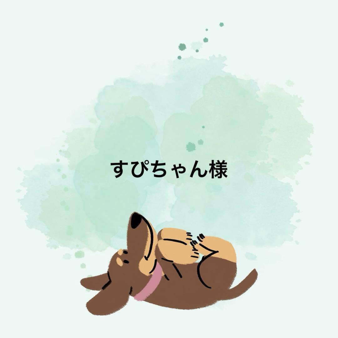 すぴちゃん様