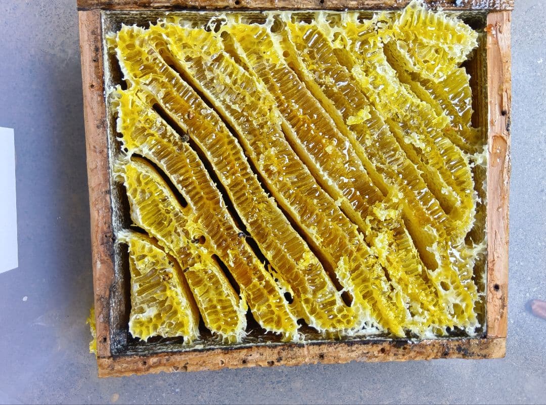 南国土佐の百花蜜　ニホンミツバチはちみつ100% 無添加　無加工　 タレ蜜