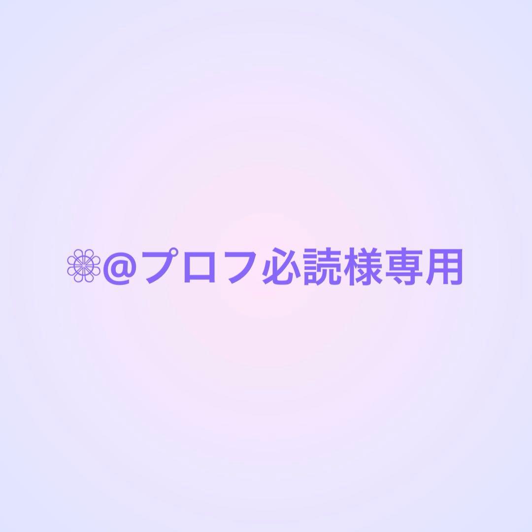 ❁⃘@プロフ必読