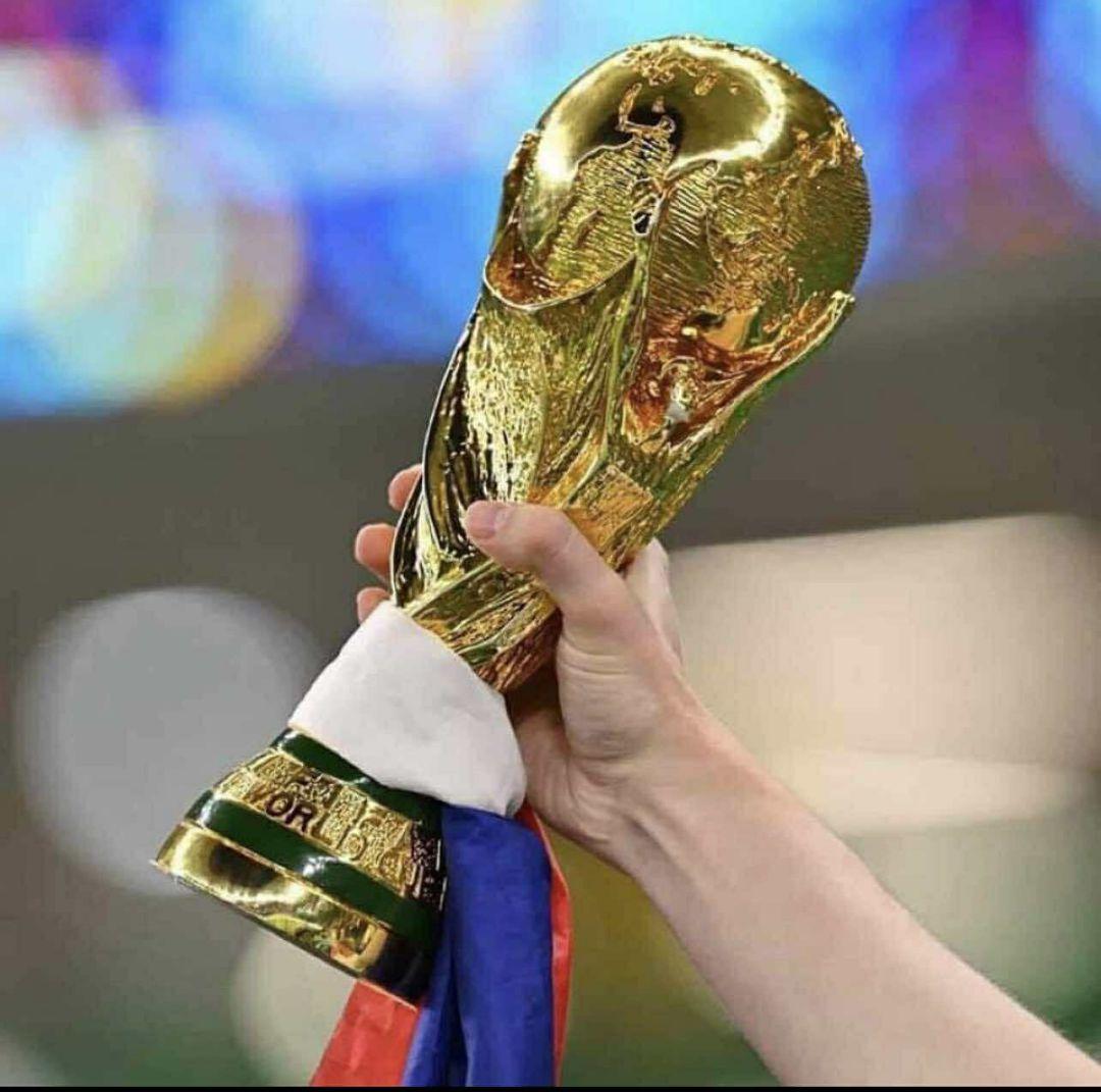 FIFA ワールドカップ W杯 トロフィー 優勝カップレプリカ