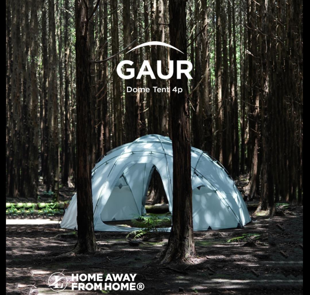 Ladit GAUR（ガウル）
