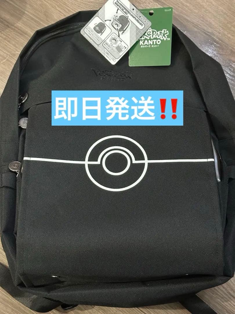 ポケパークカントー 限定 リュック 新品未使用 タグ付き
