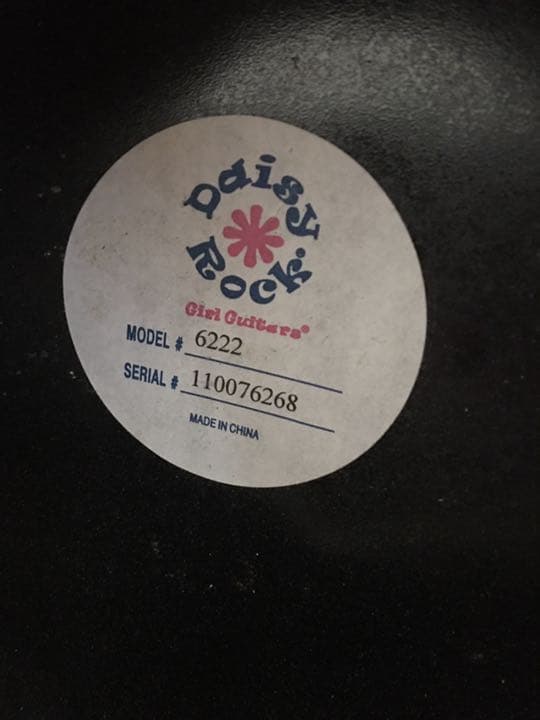 え\"マジ‼︎驚きの3日間‼️【大幅お値下げ】DAISY ROCK エレアコギター