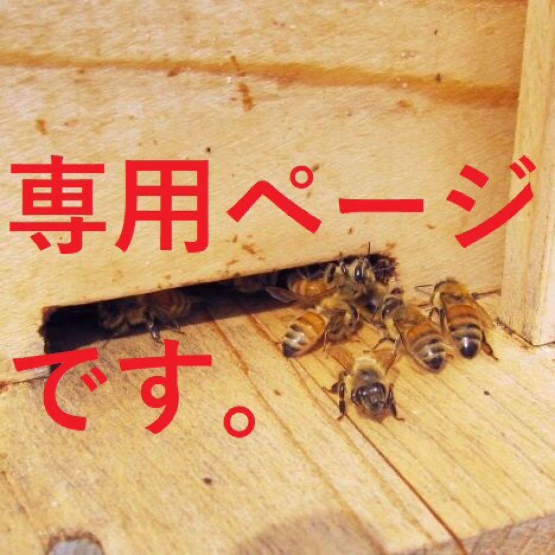 専用【非加熱・生はちみつ】百花蜜・1000g×3本とシナモン3袋セット