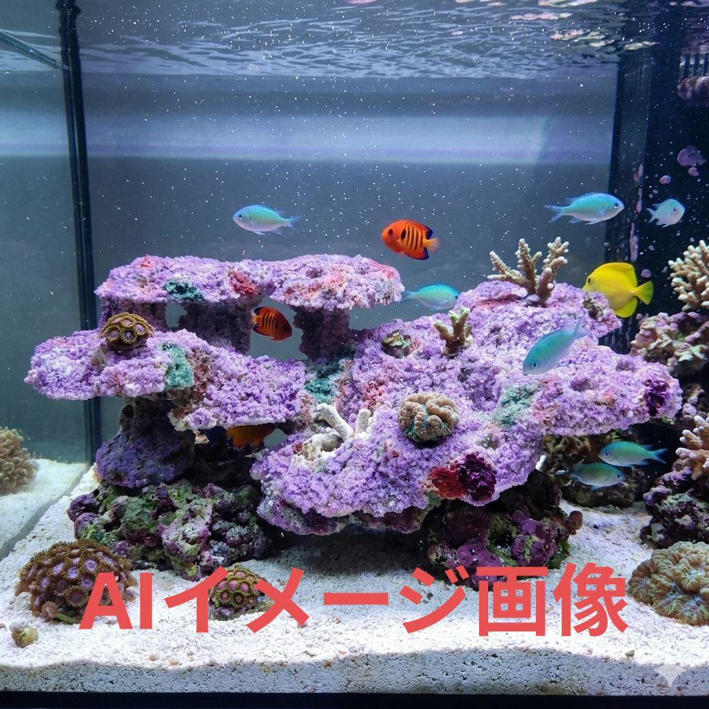 ✐プラグ穴付き 新品 人工ライブロック 60cm海水水槽用 レプリカ 安い3