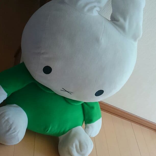可愛いウサちゃんのぬいぐるみ
