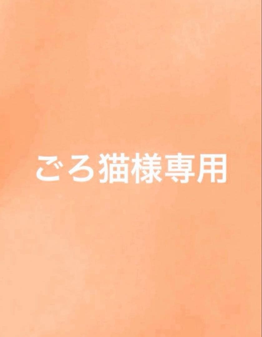 ごろ猫
