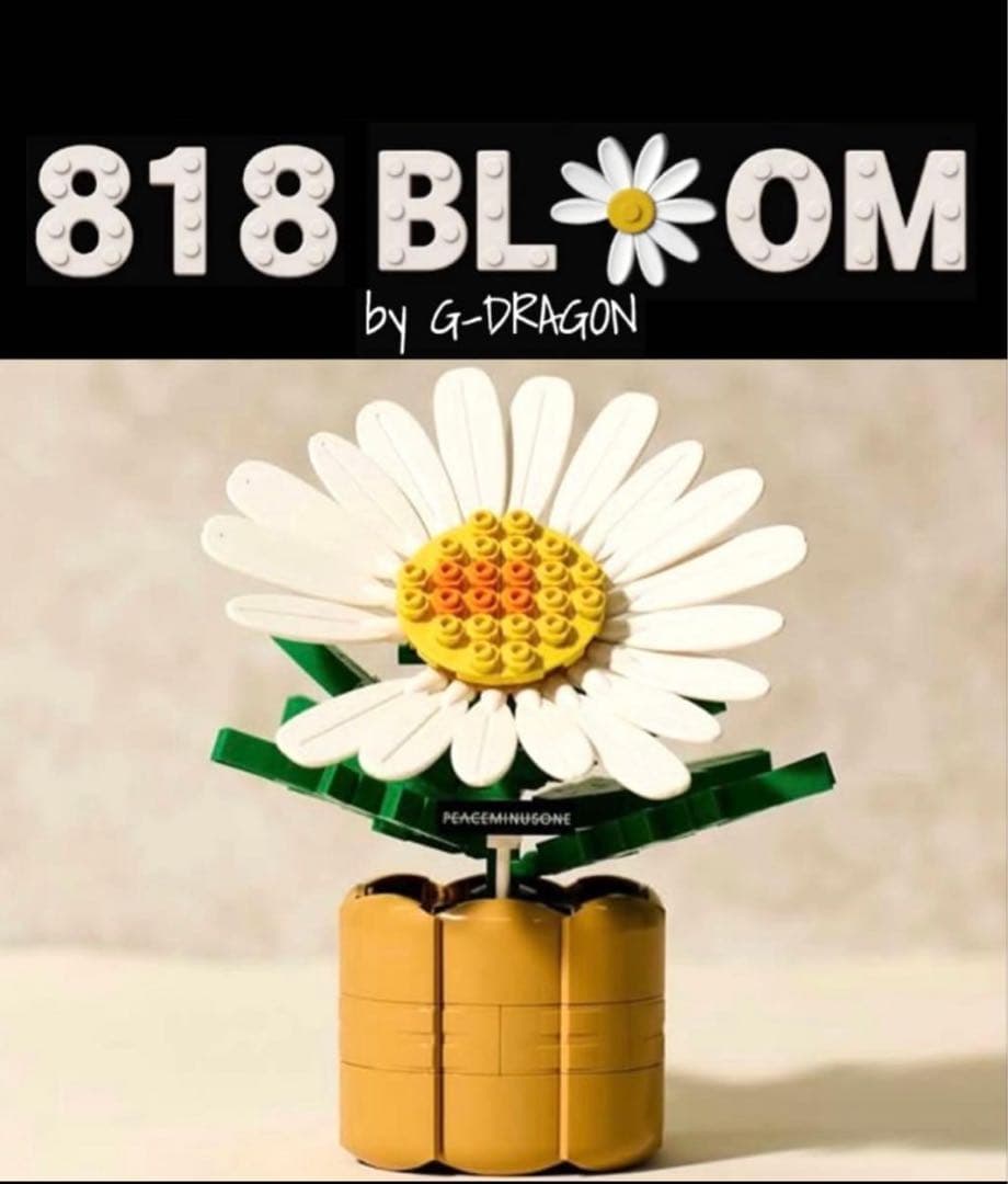 G-DRAGON GD 818 BLOOM PEACEMINUSONE ジヨン