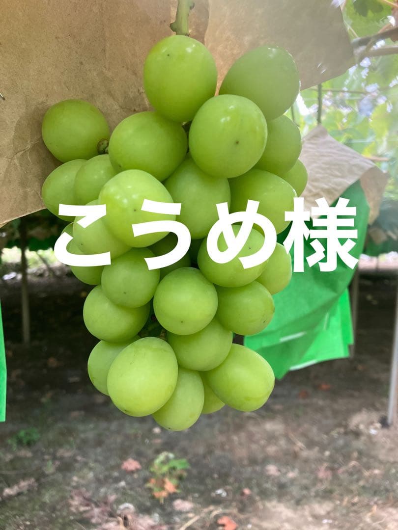 こうめ様