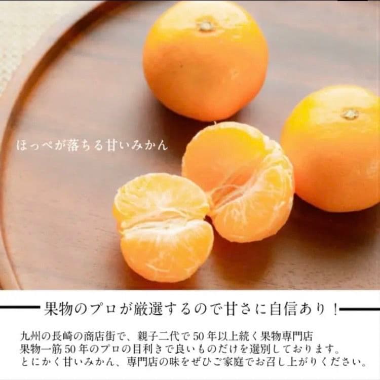 長崎県産伊木力みかん 小玉 10kg 約140個〜160個入 2S〜3S