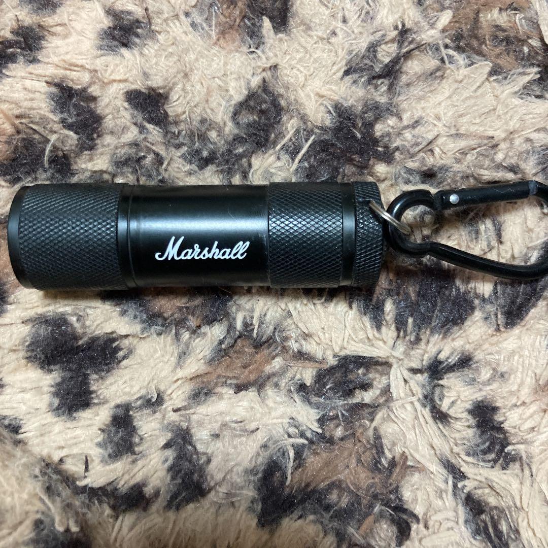 Marshallのライト激レア