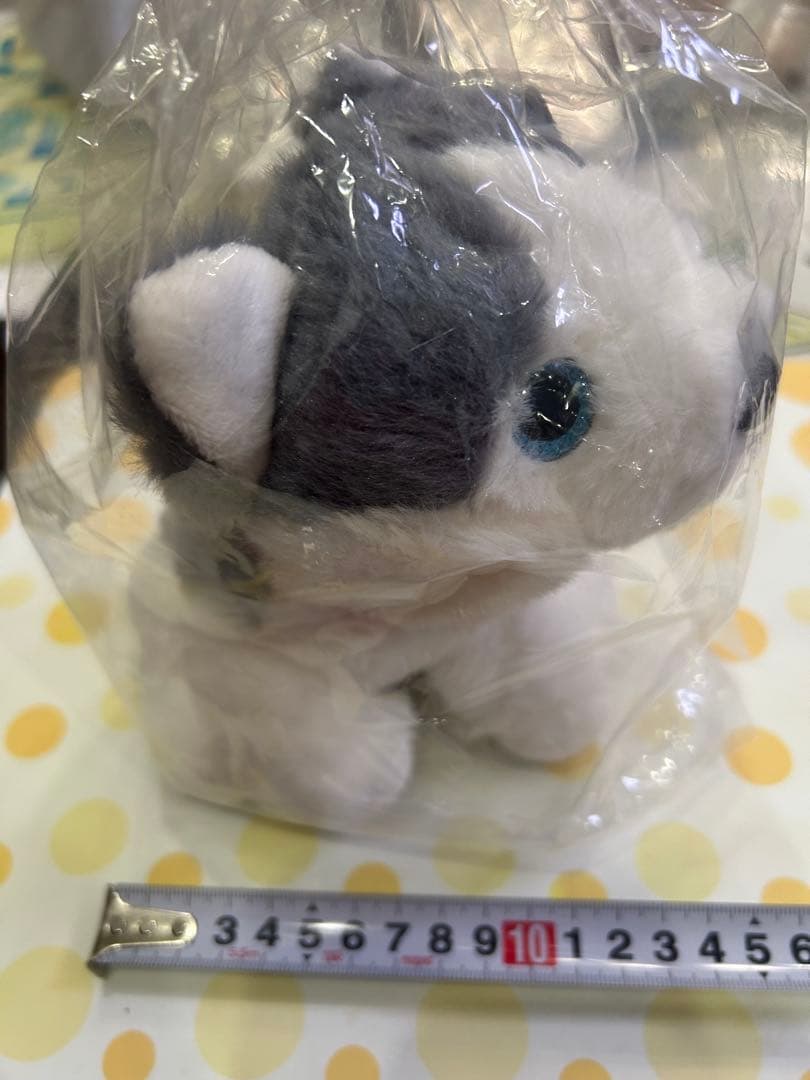 【非売品/新品】セイコーマート 景品 ハスキー犬 ぬいぐるみ ブルーアイ