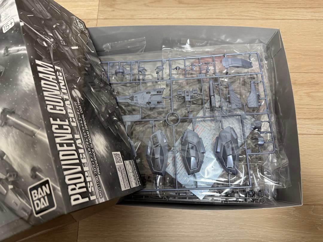 【新品未組立】 MG 1/100 プロヴィデンスガンダム　スペシャルコーティング