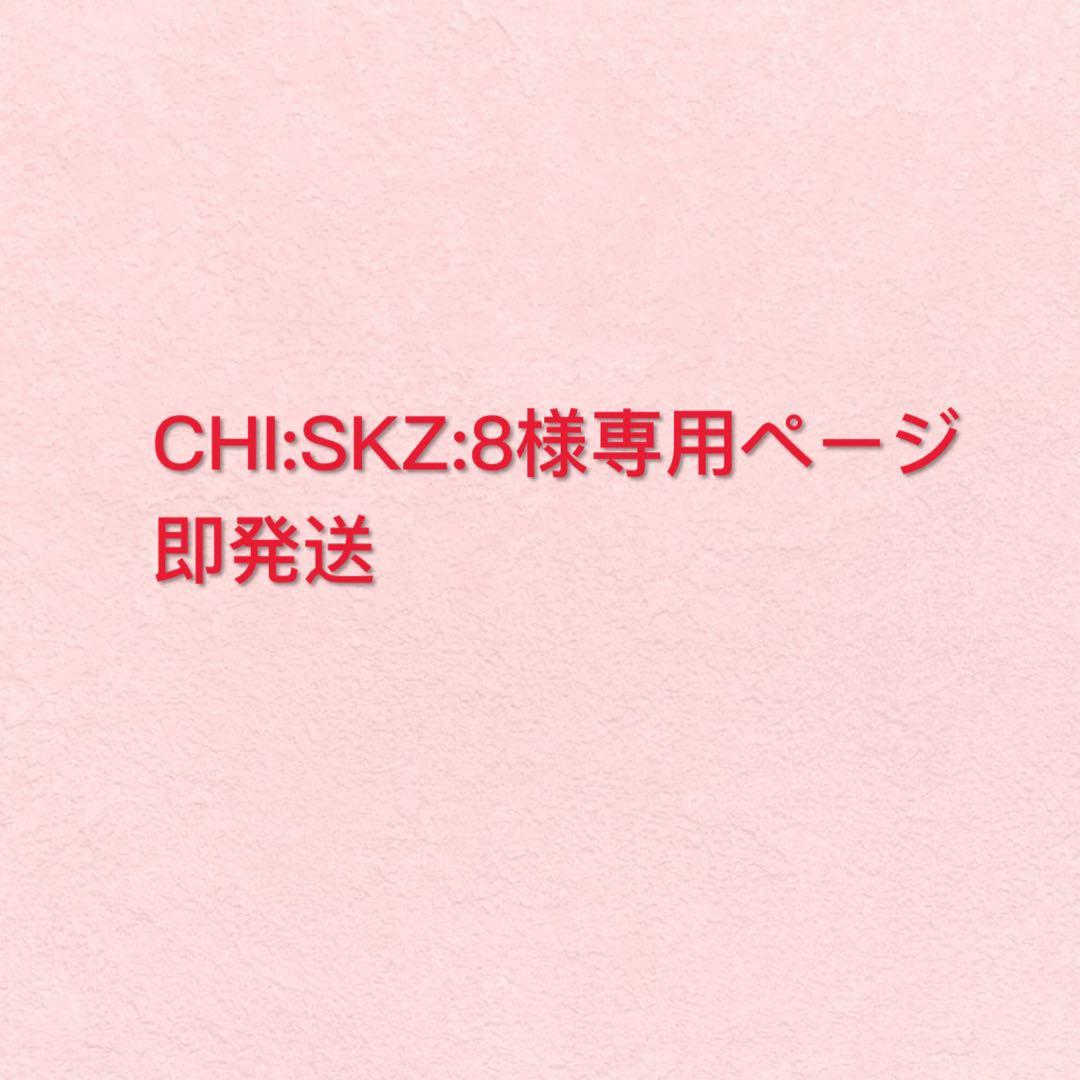 即発送 CHI:SKZ:8ページ