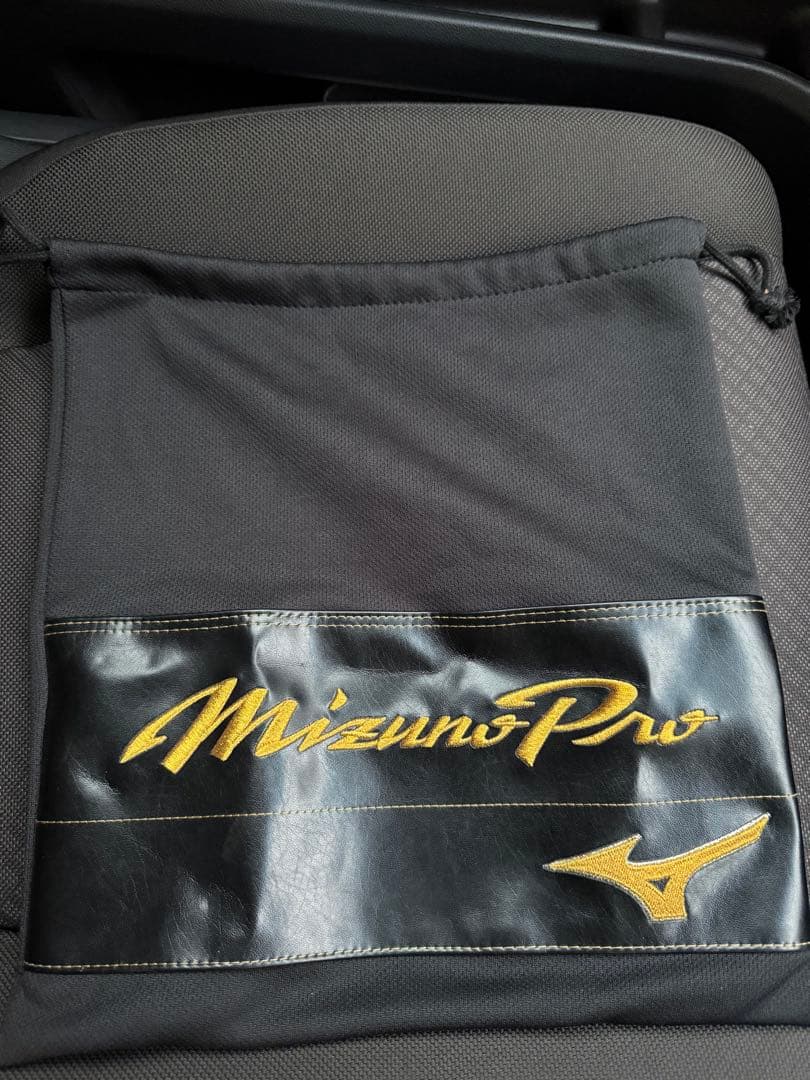 ミズノプロ　mizuno pro 硬式 外野手用 グラブ