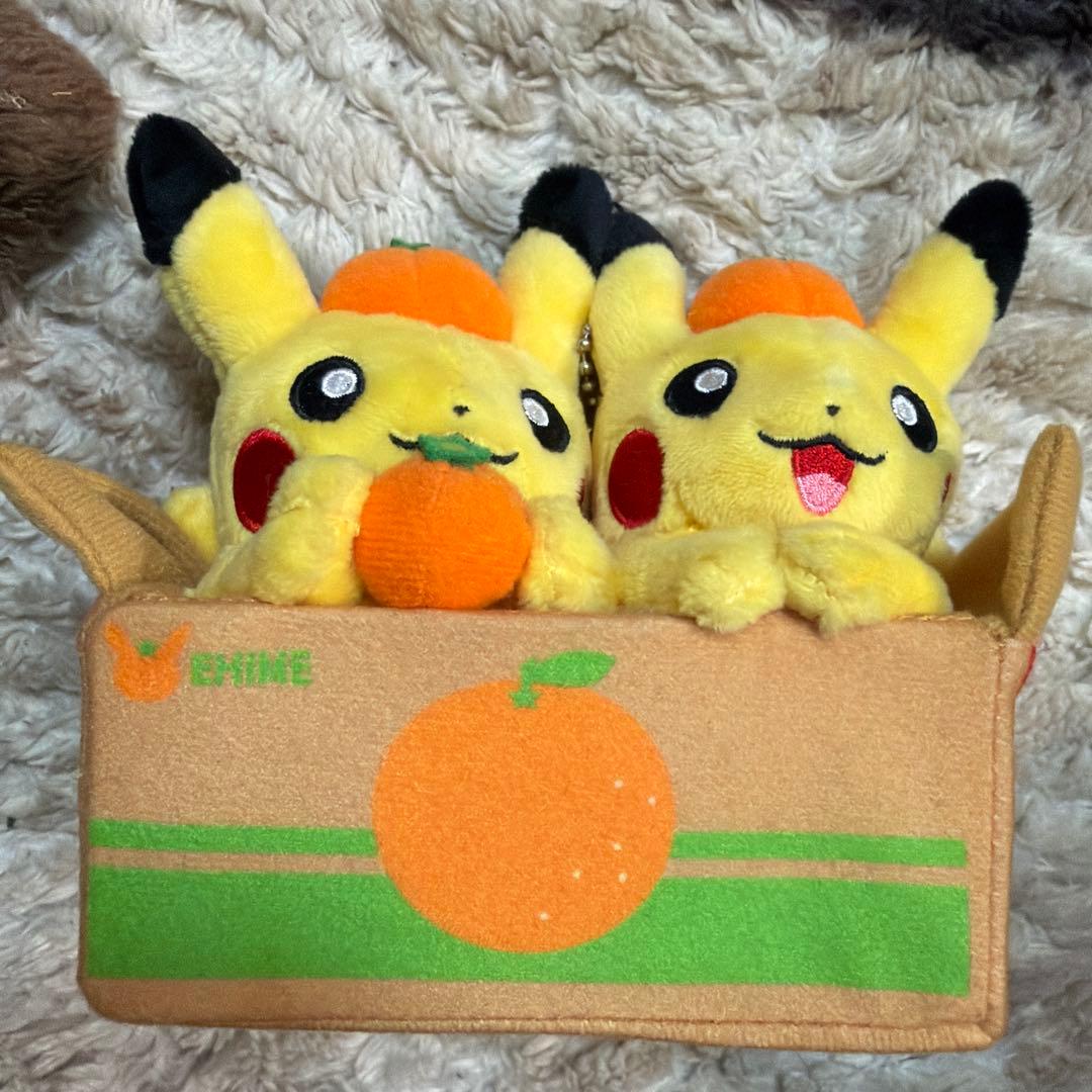 ピカチュウ ぬいぐるみ オレンジの箱入り