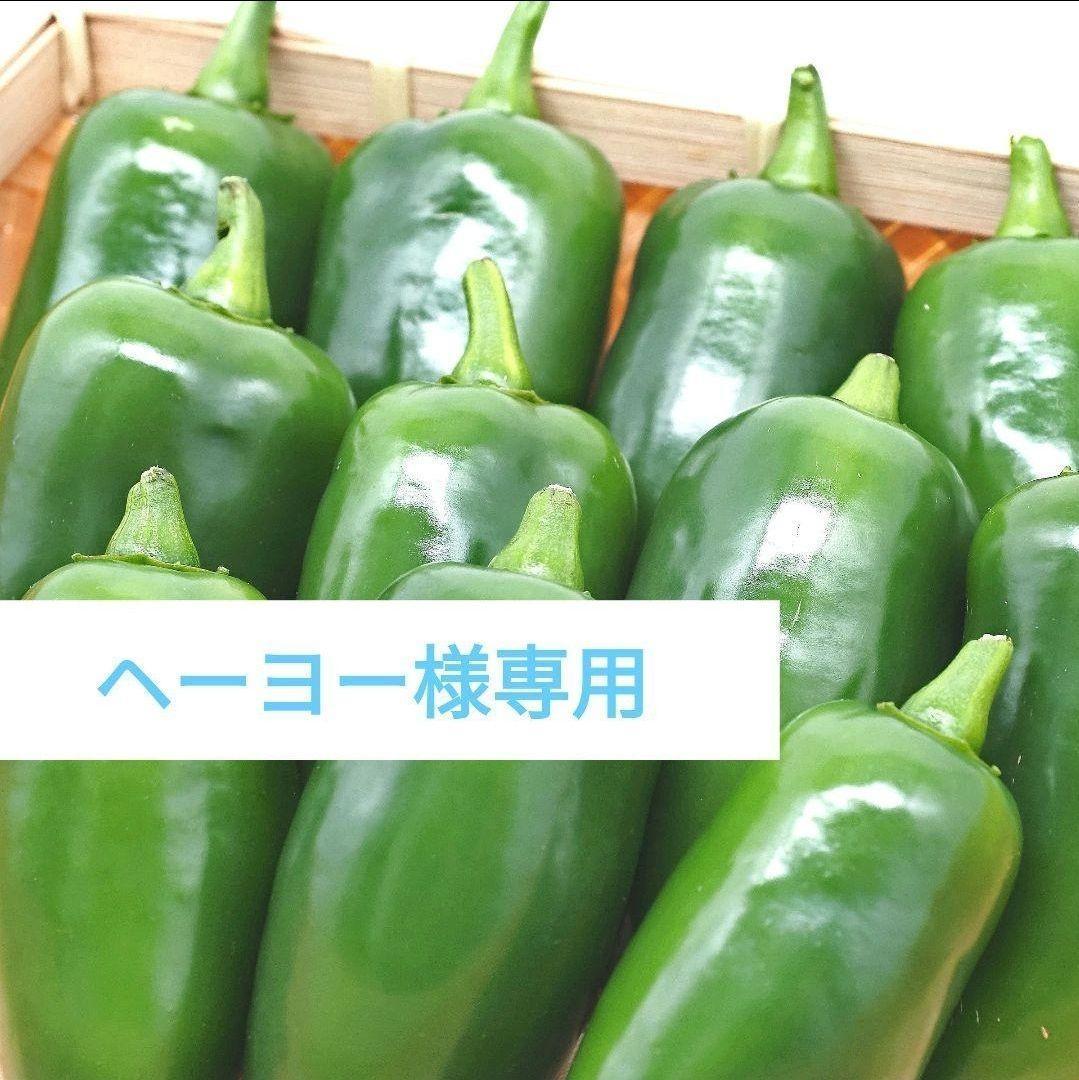 ヘーヨー　ハラペーニョ無選別品