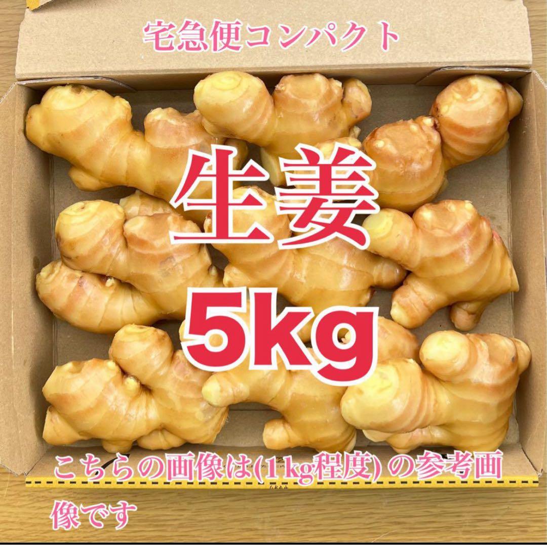 熊本生姜5キロ