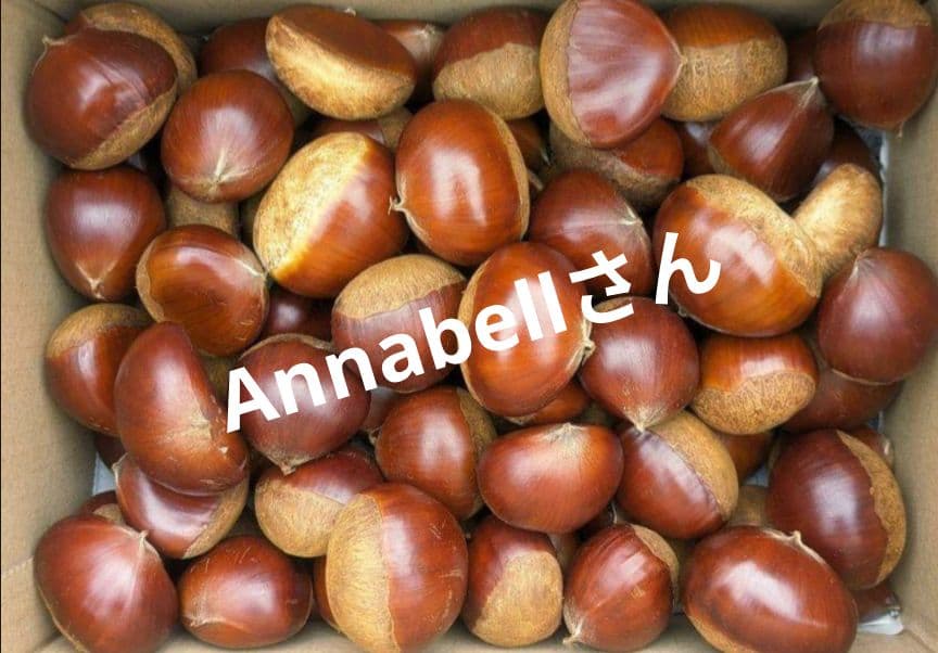 Annabellさん専用
