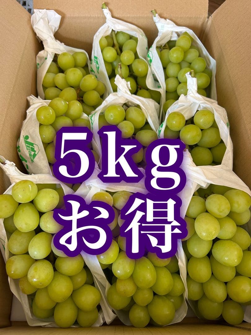 山梨県産　ぶどう　シャインマスカット 正味5キロ　家庭用　そろそろ終わり