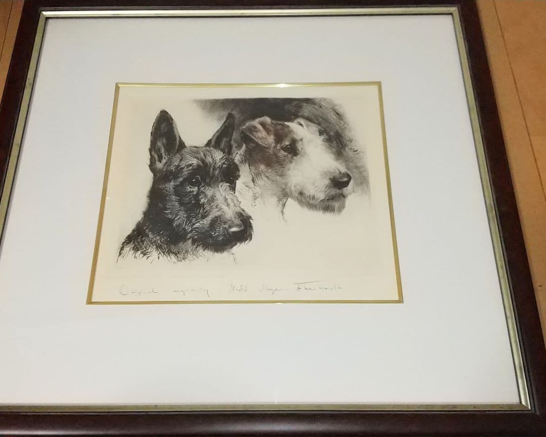 『2匹のテリア犬』ヴィンテージ銅版画  Meyer Eberhardt