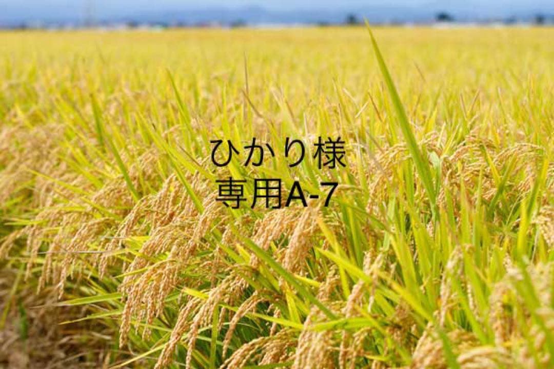 ひかりA-7