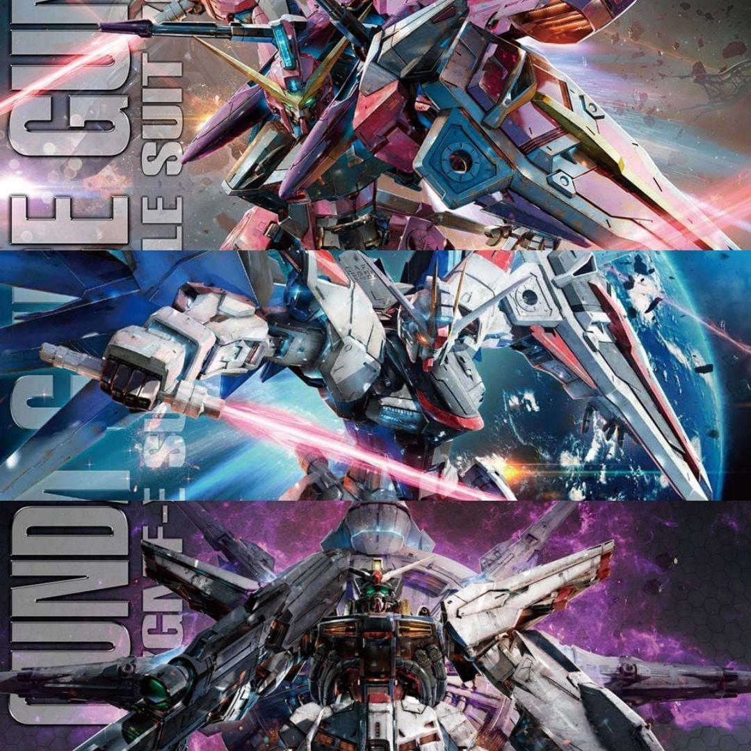 MG 機動戦士ガンダムSEEDセット