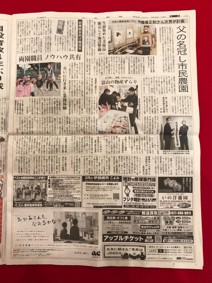 花乙女コレクション【藤岡心象　陽の中で】購入金額より60％お値引き！！