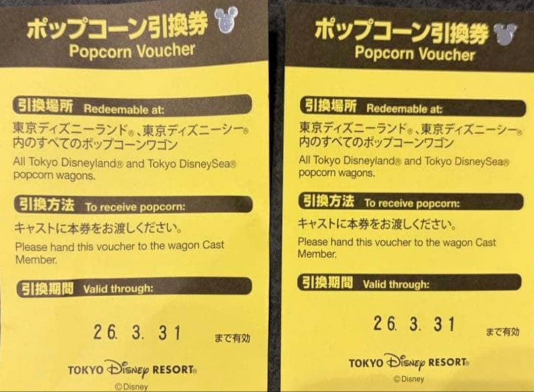 新品　ミニーのファンダーランド パルパルーザ ポップコーンバケット　ミニパル